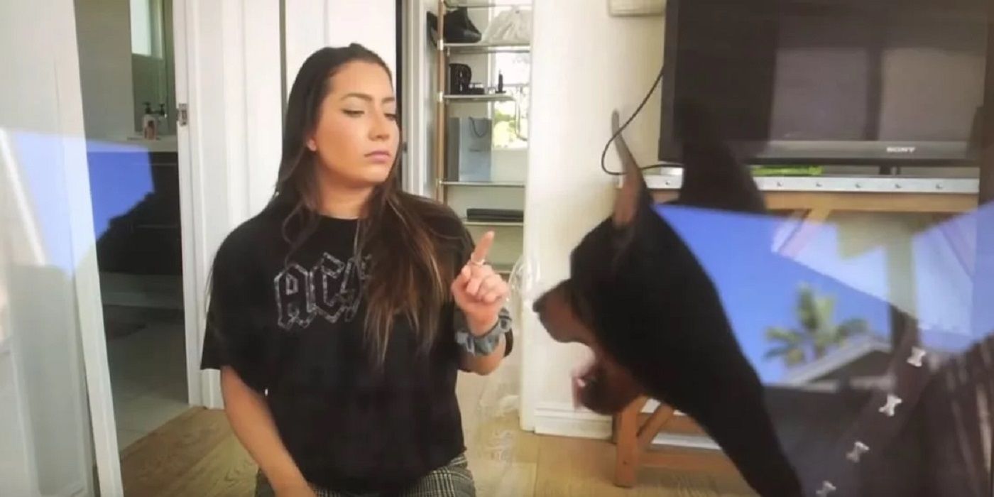 YouTuber Accidentally Uploads Video Revealing Her Animal Abuse