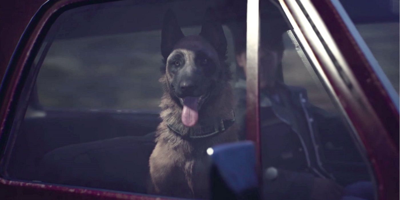 Blair Witch Announces PS4 Release Date with New Content