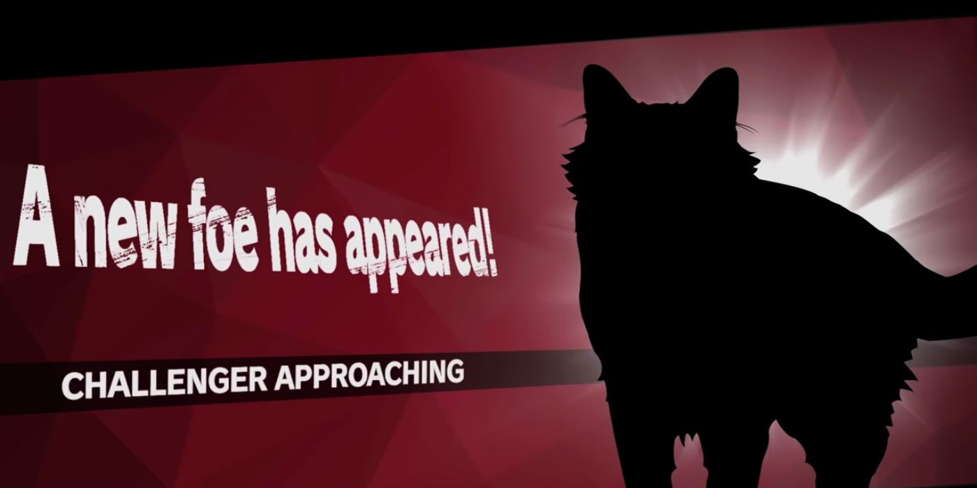 Super Smash Bros. Ultimate Fan Video Imagines Pet Cat as Next Fighter