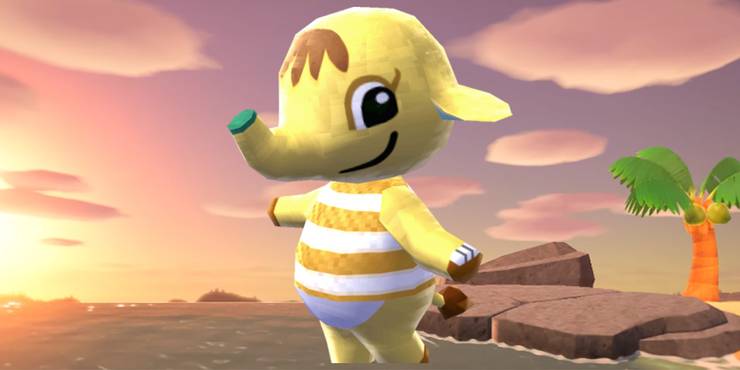 A Complete Breakdown Of Animal Crossing New Horizons Villager