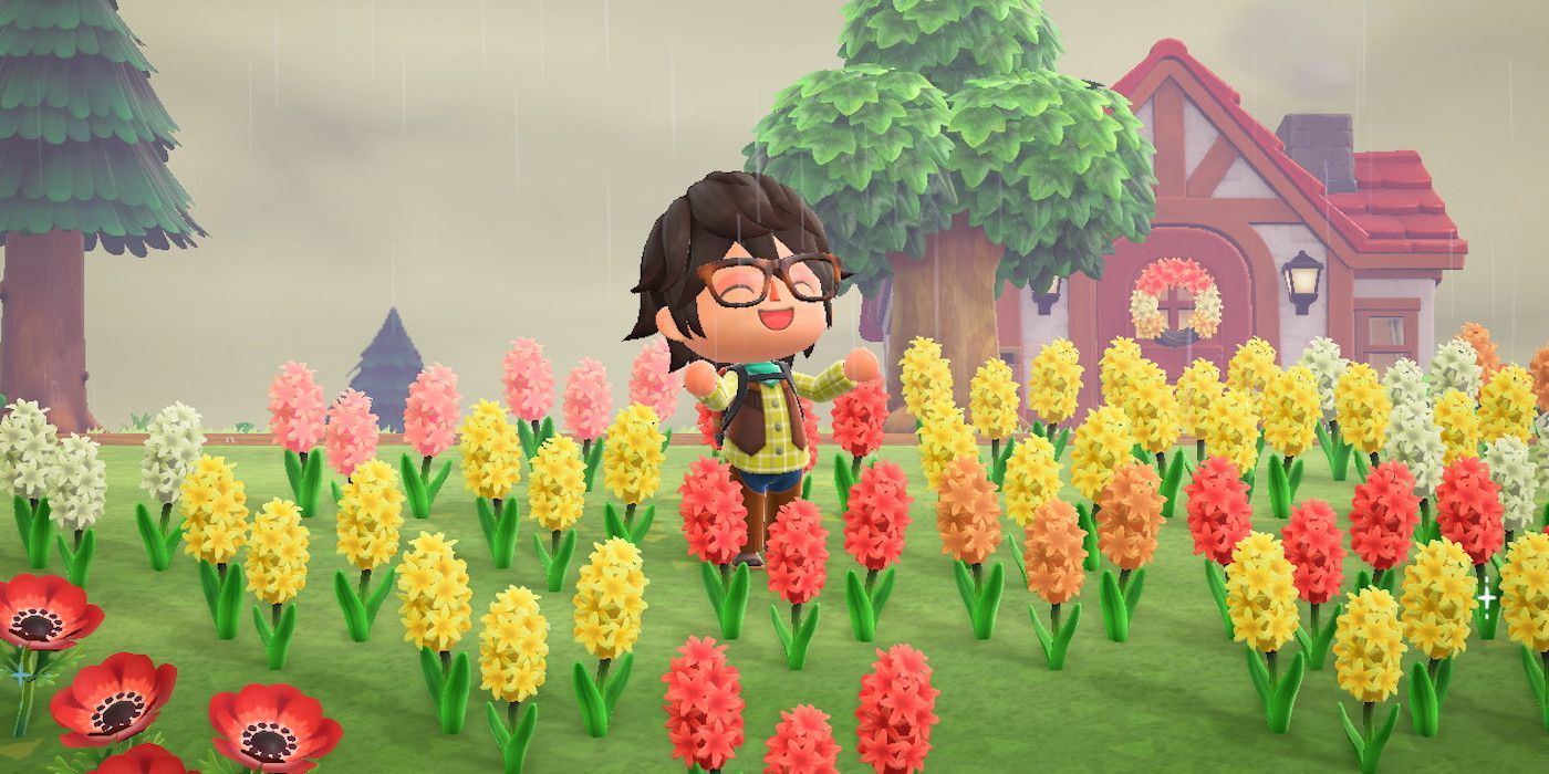 How To Decorate With Flowers In Animal Crossing New Horizons,Pizzeria Pronto Stovetop Pizza Oven Review