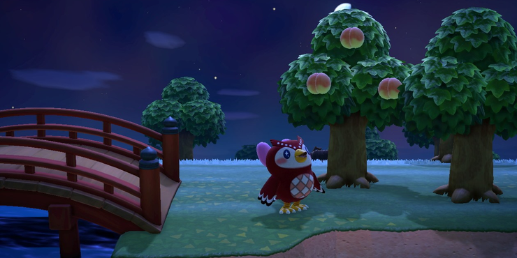 Animal Crossing 10 Unanswered Questions We Still Have About Celeste