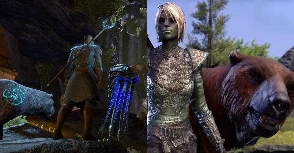 Elder Scrolls Online 10 Best Warden Builds Ranked For 2020
