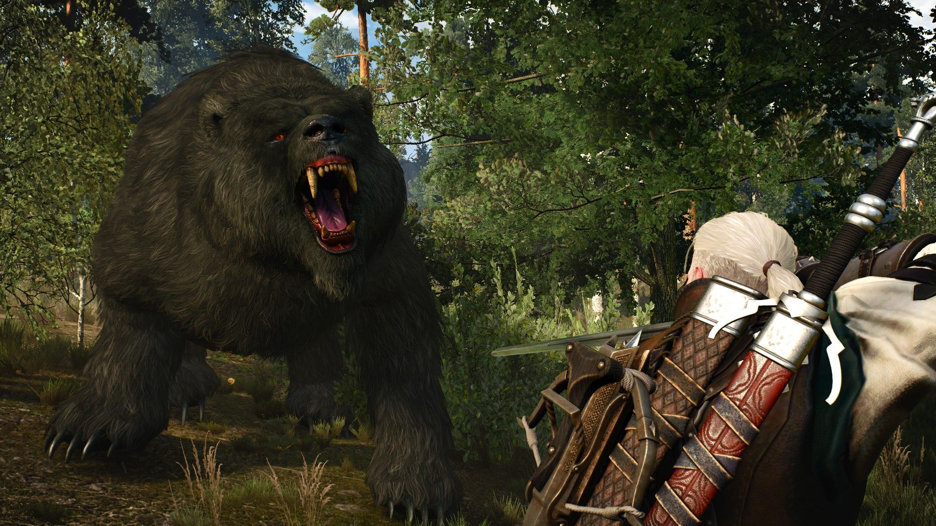 Медведь Ведьмак 3. Белый медведь Ведьмак 3. School of the Bear Witcher. Ведьмак 3 свиньи