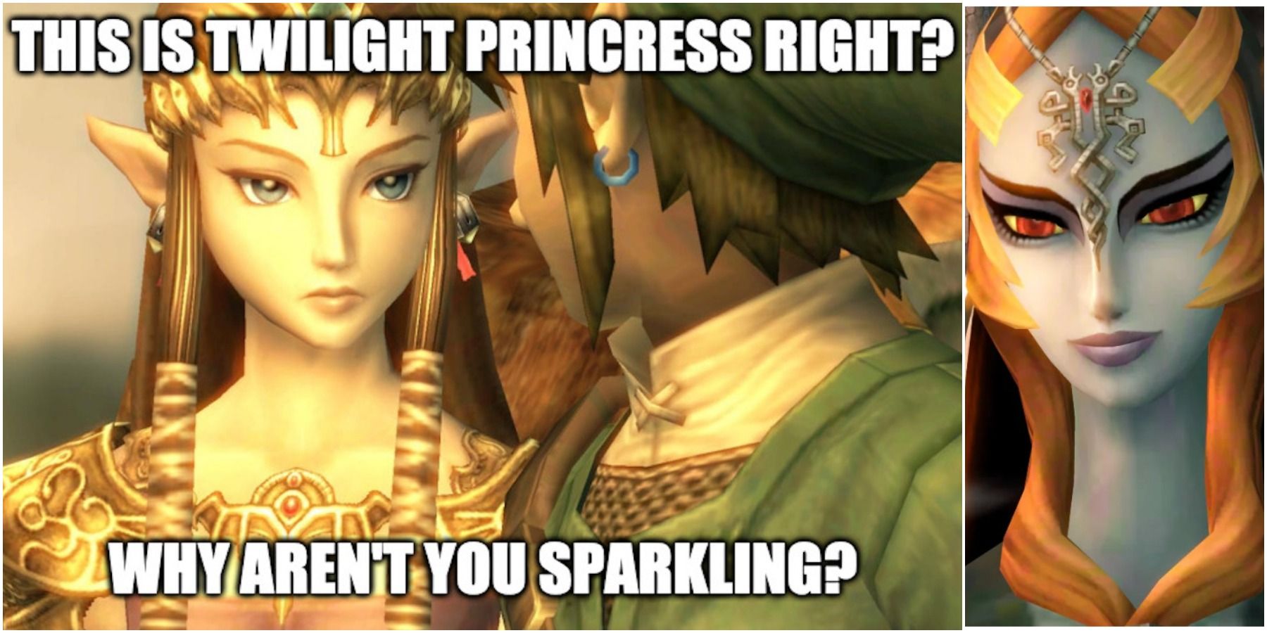 The Legend Of Zelda 10 Twilight Princess Memes That Are. 