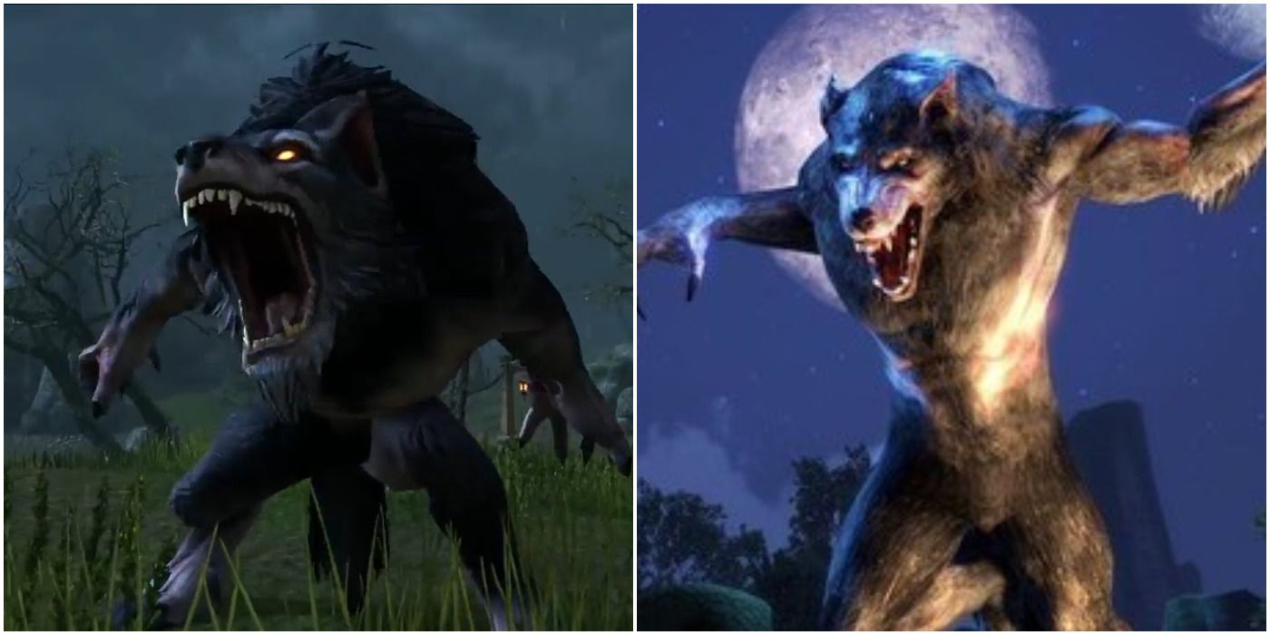 the-elder-scrolls-10-weirdest-things-about-werewolves-ranked