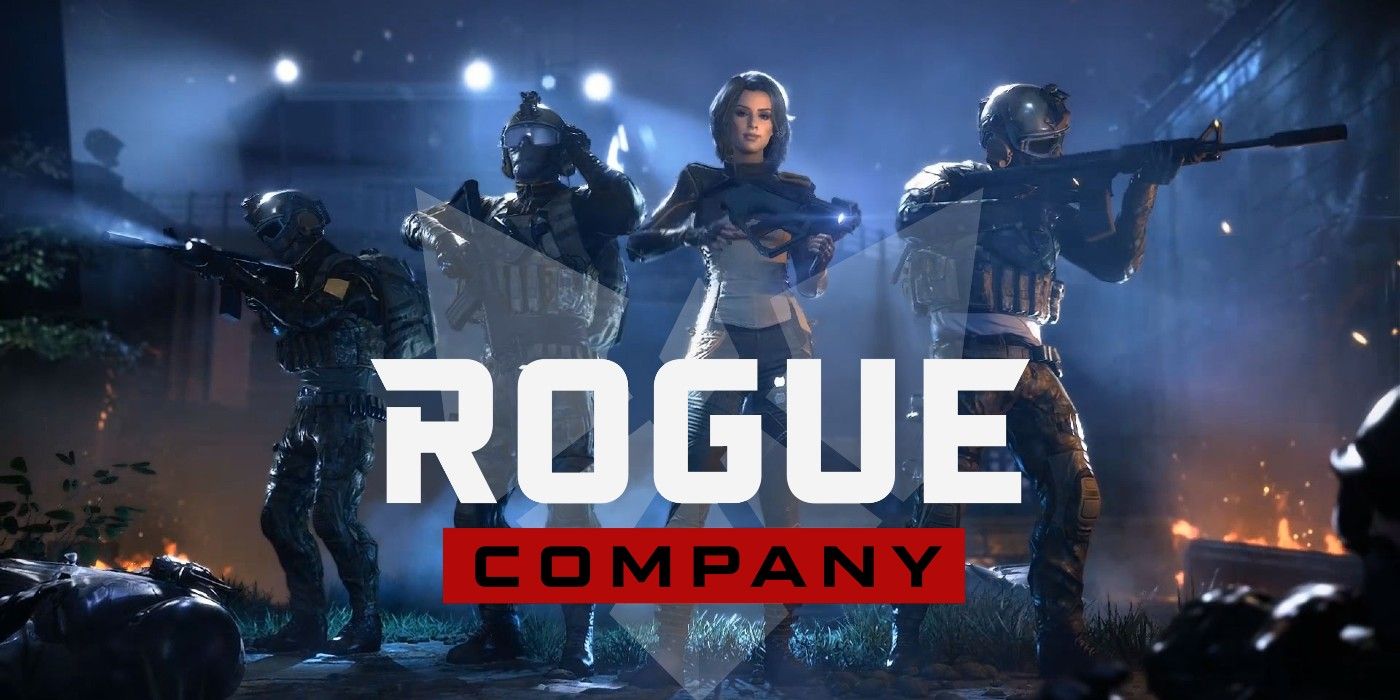 Rogue company не удалось отправить запрос на вход 3102