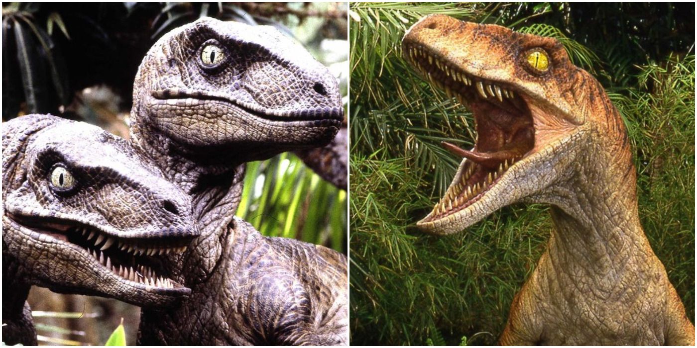 Jurassic Park 10 Things You Didnt Know About Velociraptor Behavior On Site B 