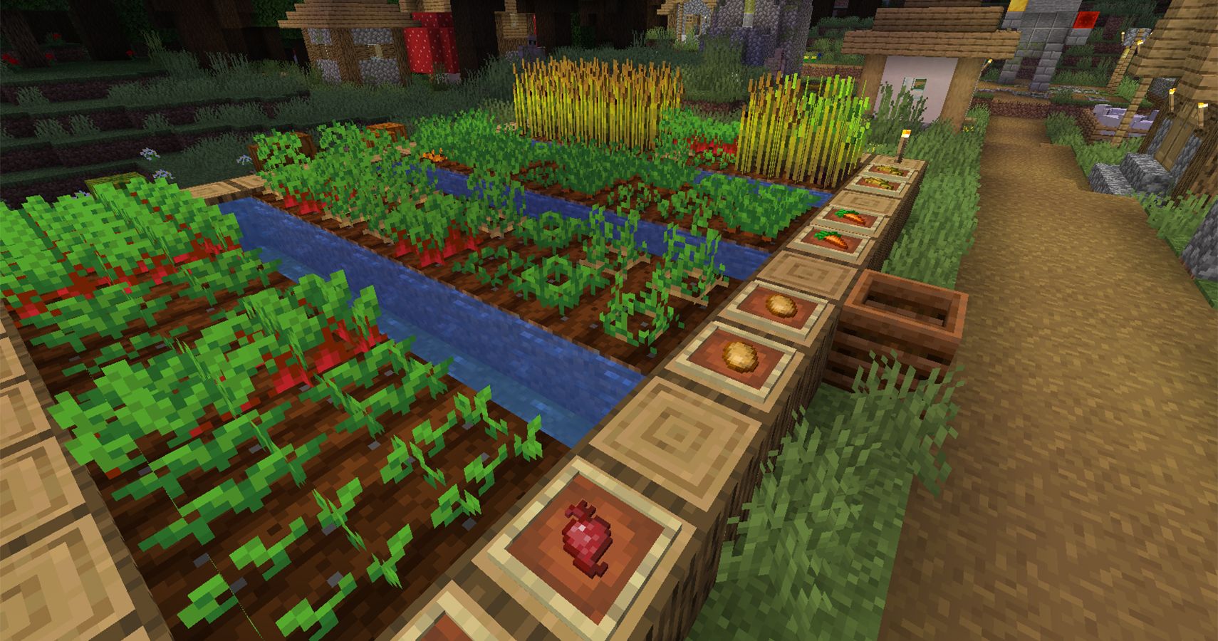 minecraft-everything-you-need-to-know-about-growing-crops