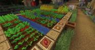 Minecraft Everything You Need To Know About Growing Crops