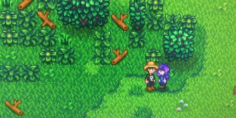 Stardew Valley: Everything You Need To Know About The Egg Festival & Egg  Hunt – 