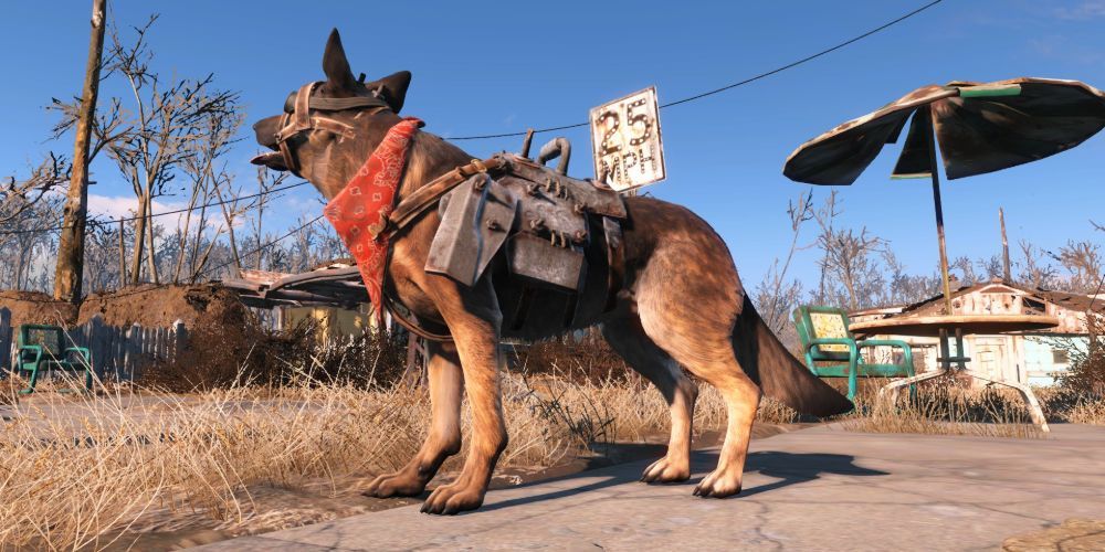 fallout 4 attack dog