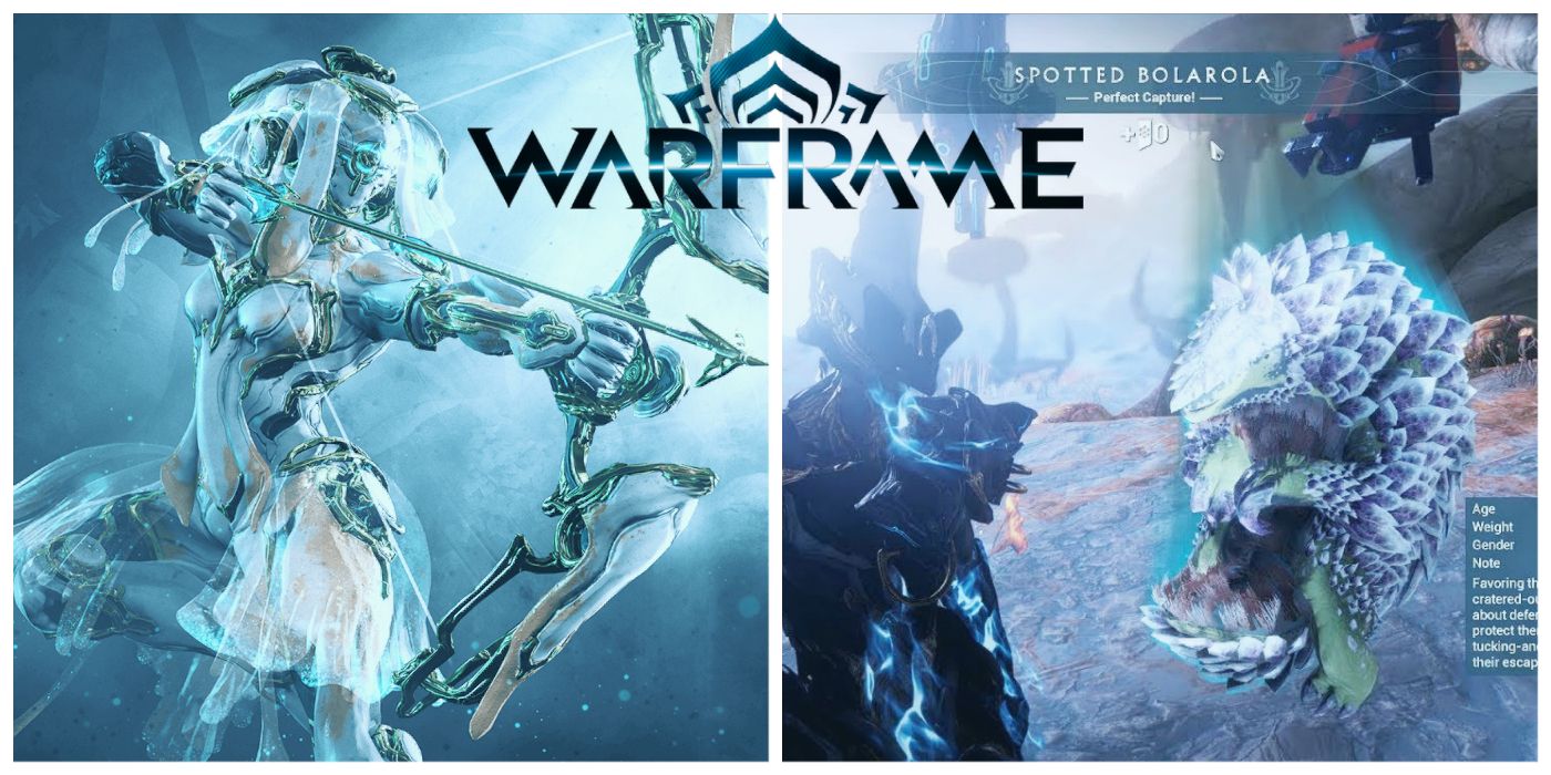 Warframe How To Get Perfect Animal Captures Game Rant