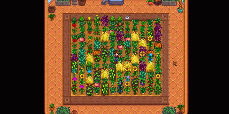 Stardew Valley 10 Best Crops To Grow In The Greenhouse Stardew Valley 10 Best Crops To Grow In The Greenhouse