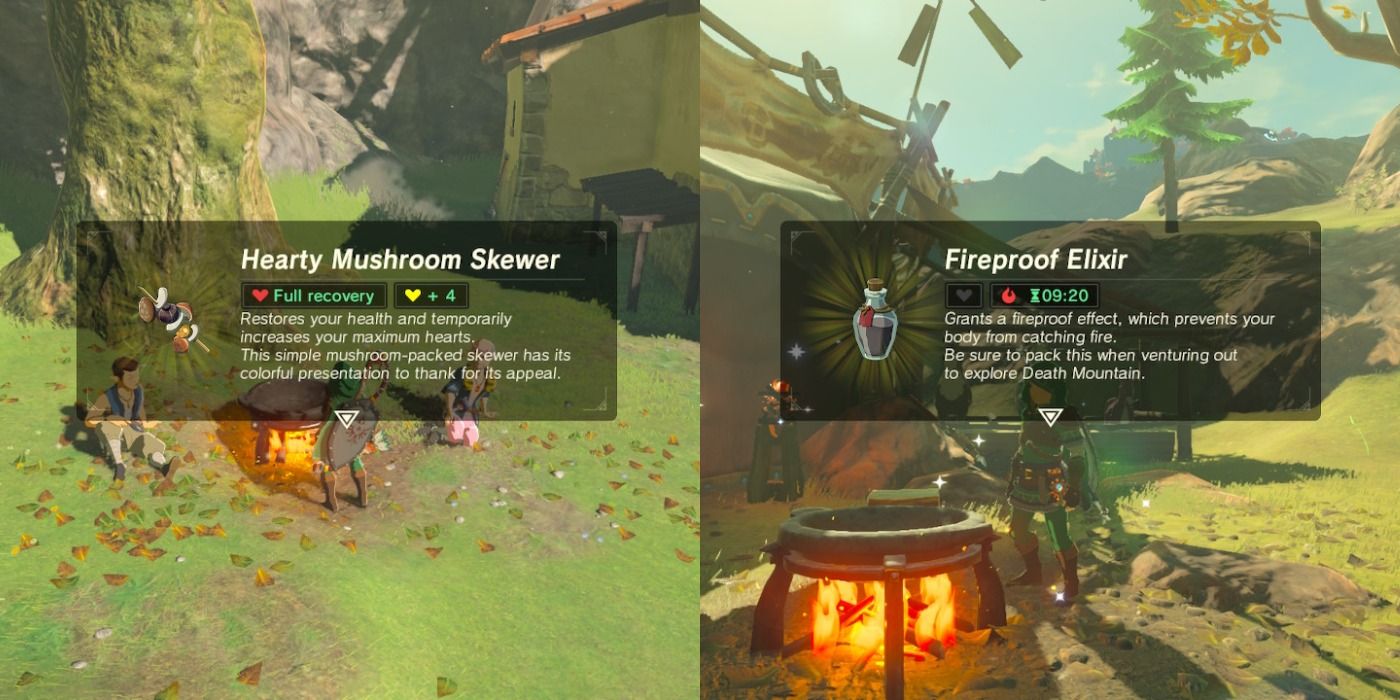 breath of wild cooking