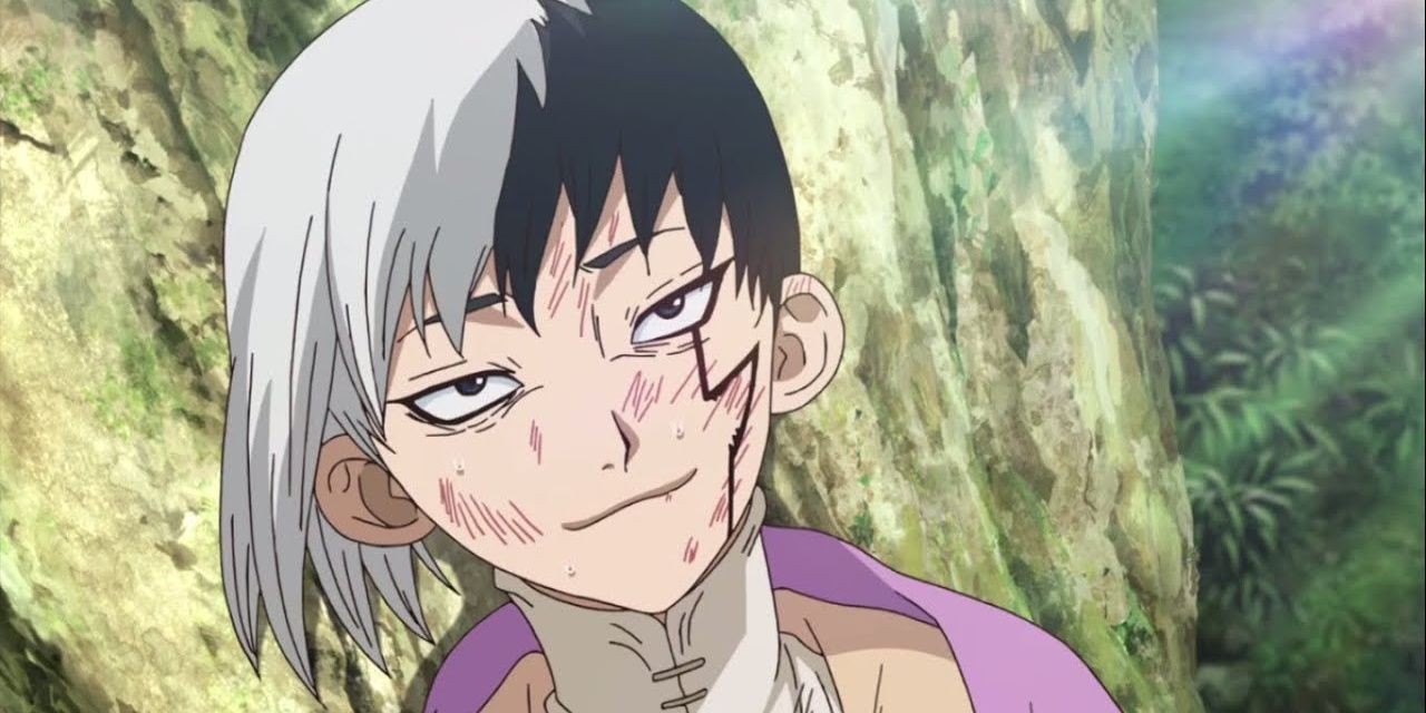 Dr Stone Every Main Character S Age Height And Birthday