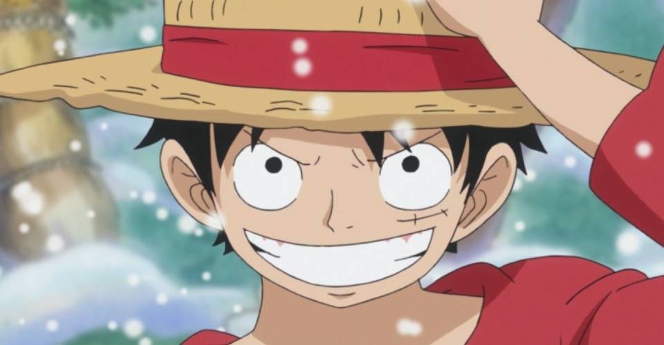 One Piece Every Straw Hat Pirate S Age Height And Birthday One Piece Every Straw Hat Pirate S Age Height And Birthday