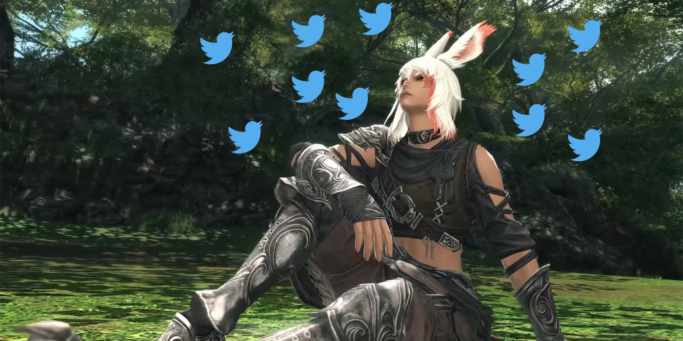 Final Fantasy 14 Bunny Boys Trends After New Male  Viera  