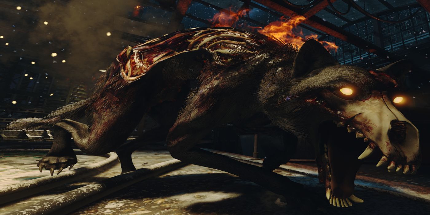 Call of Duty: Black Ops Cold War Zombies Players Discover Weird Rainbow Hellhound Bug