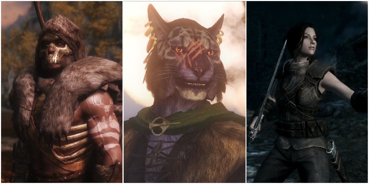 Skyrim 10 Best Follower Mods You Need To Install Game Rant