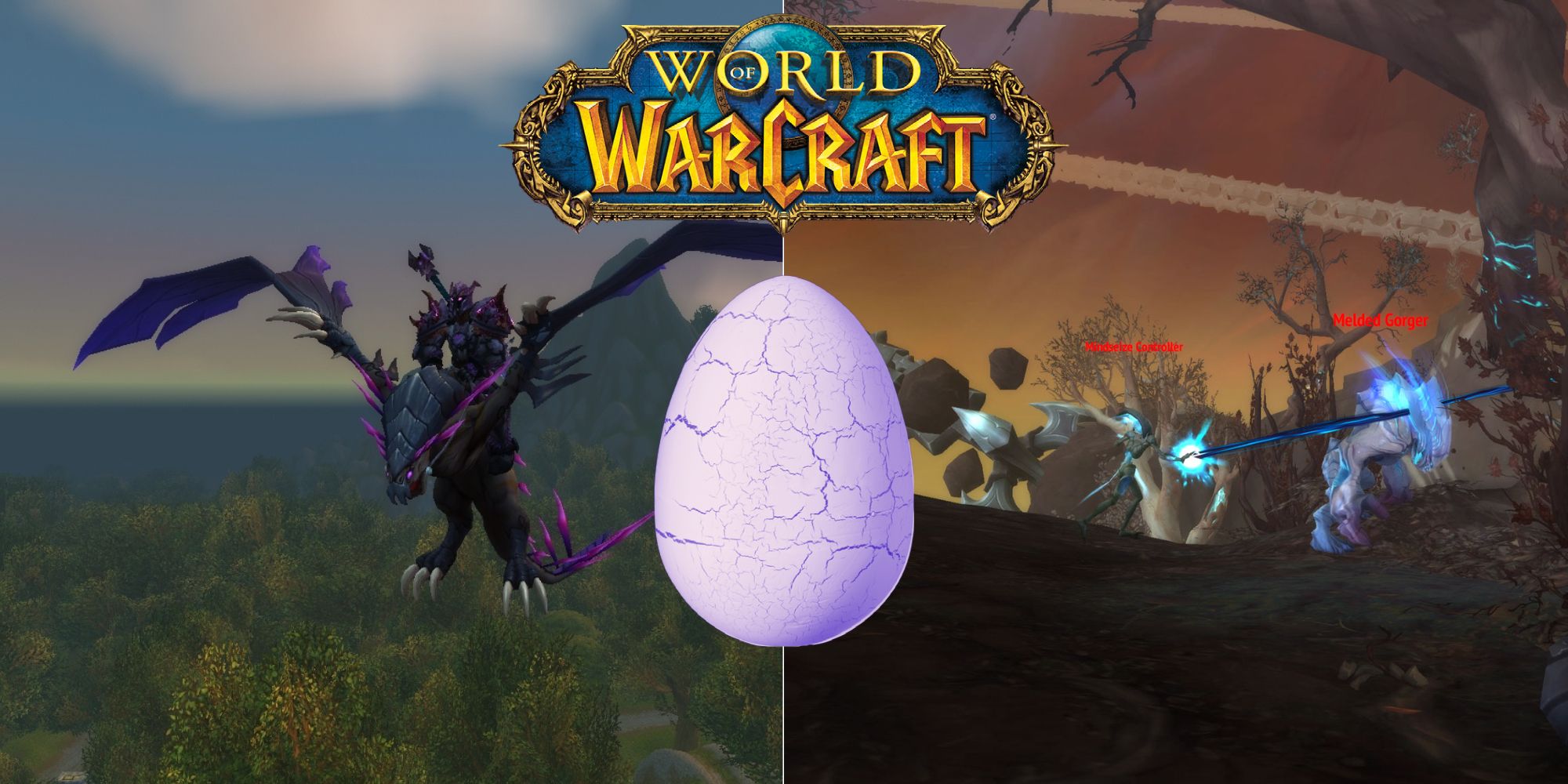 download wow hairy egg shadowlands for free