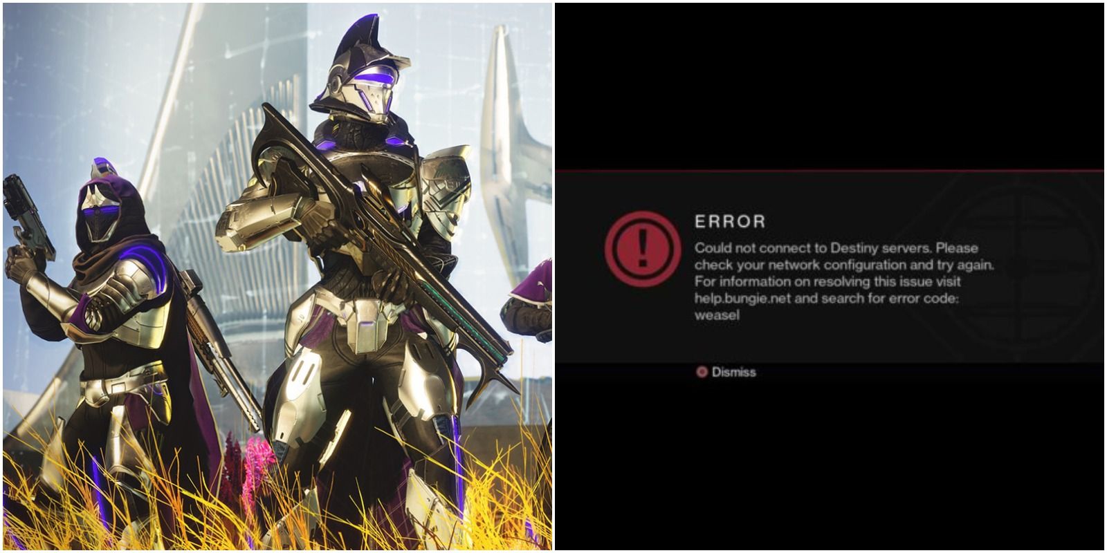 Код destiny. Дестини 2 ошибка. Destiny 2 Error. Одинокий волк Зазубренная кромка Дестини 2. Destiny 2 Server Error code bat, Weasel.