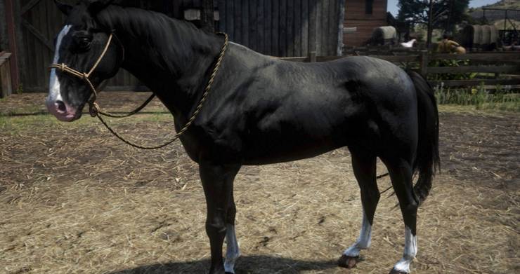 Every Horse In Red Dead Redemption 2 Ranked From Worst To Best