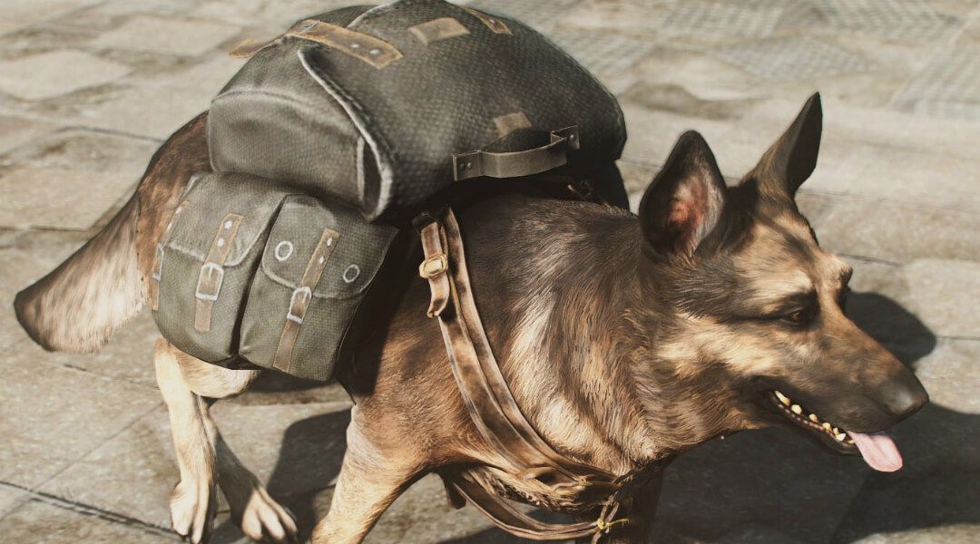 Featured image of post Fallout 4 Dog Armor Mod Dog armor is a piece of dog armor worn by canines in fallout 4