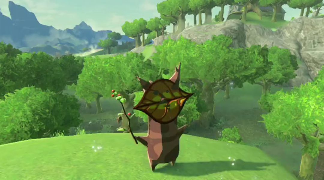 Zelda Breath Of The Wild What To Do With Korok Seeds